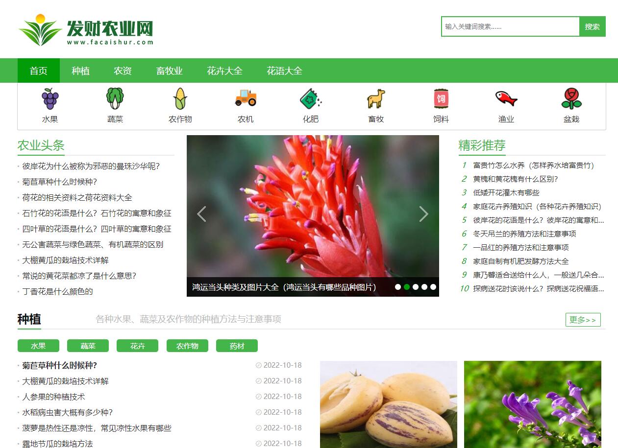 A0013某知名农业网站，农业知识养殖技术花卉大全发财树栽培农机农作物模板